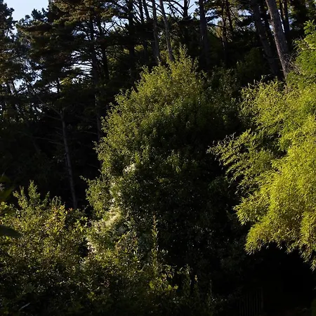 Boutique Mendi Argia Saint-Sébastien