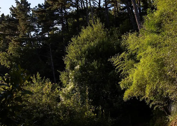 Boutique Mendi Argia Saint-Sébastien